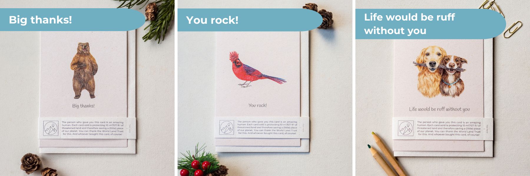 Trouvaille Give Back Thank You Cards